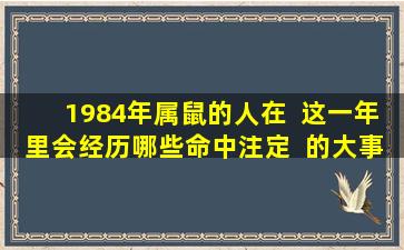 1984年属鼠的人在  这一年里会经历哪些命中注定  的大事